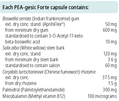 PEA-Gesic Forte 60 Capsules - BioMedica