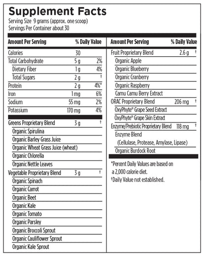 PaleoGreens (Lemon-Lime)- Designs for Health (DFH)