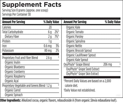 Chocolate Super Food Powder- Designs for Health (DFH)