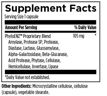 Plant Enzyme Digestive Formula - Designs for Health (DFH)