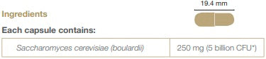 SB Floractiv, 60caps - BioCeuticals Professional